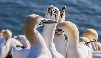 汪小菲带一双儿女现身北京，小玥儿一头长发如大S翻版