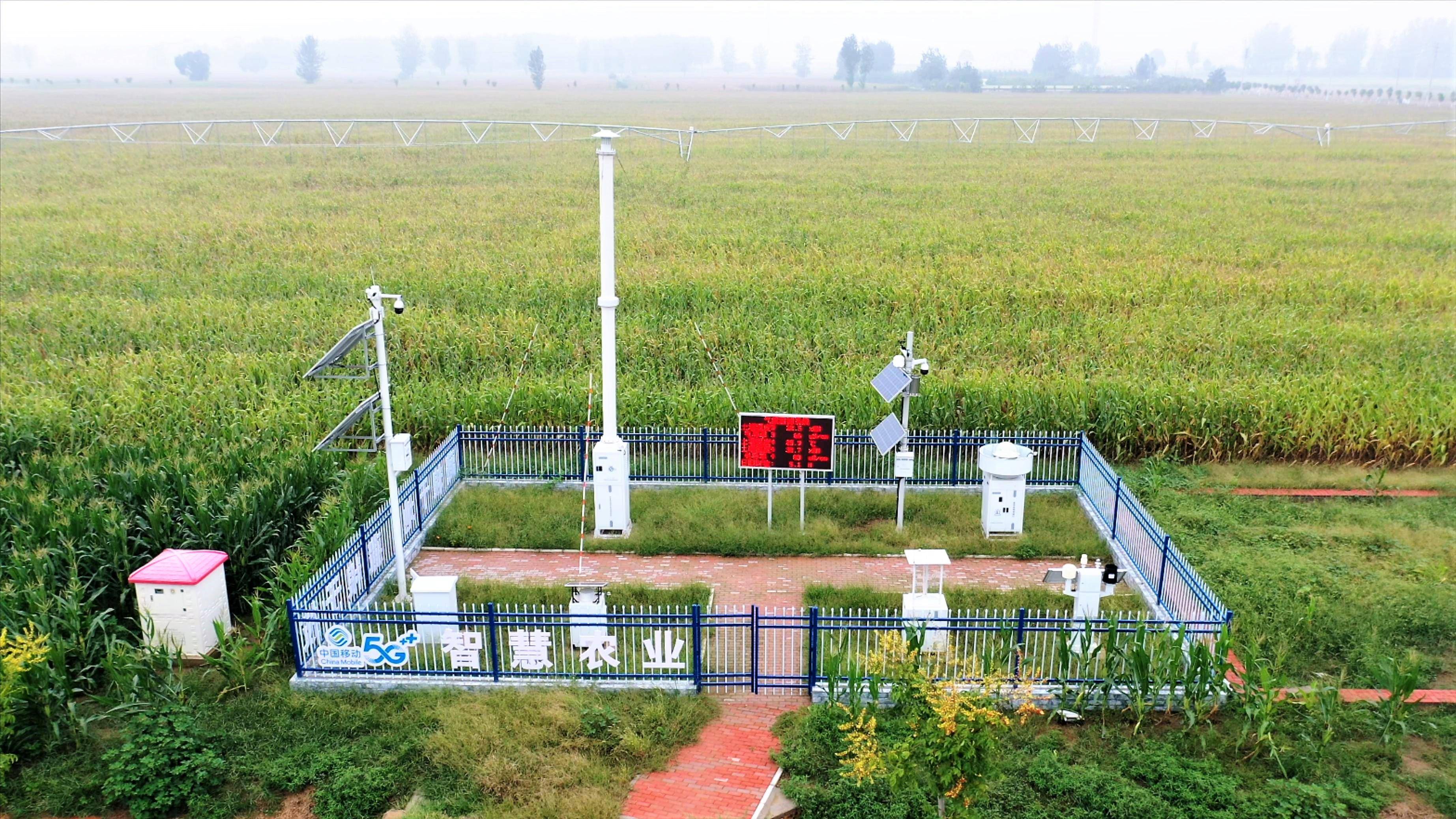 河南移动：建强算力大脑 点亮算力中原丨2024中国算力大会特别报道