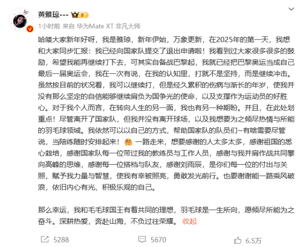 “雅思”组合双双退出！奥运冠军黄雅琼发文：已申请退出国家队