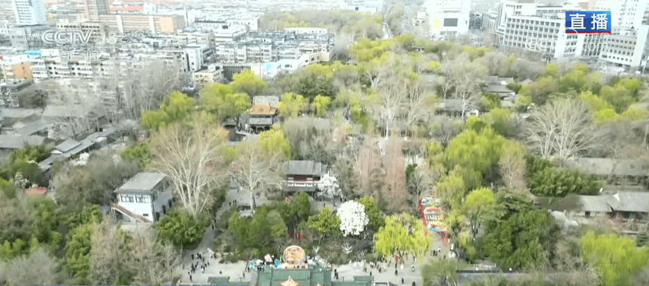 百花灼灼带火乡村文旅消费 “赏花+”让“流量”变“留量”
