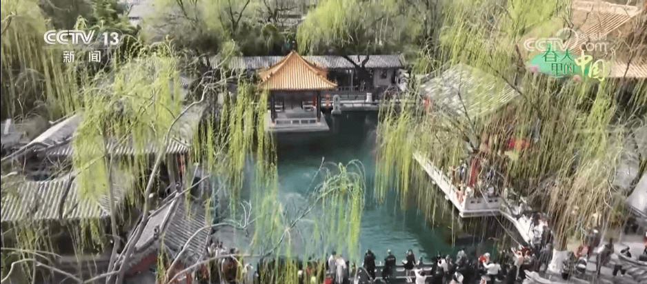 百花灼灼带火乡村文旅消费 “赏花+”让“流量”变“留量”