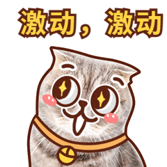 今天起，淮北客运综合枢纽站正式投入运营！