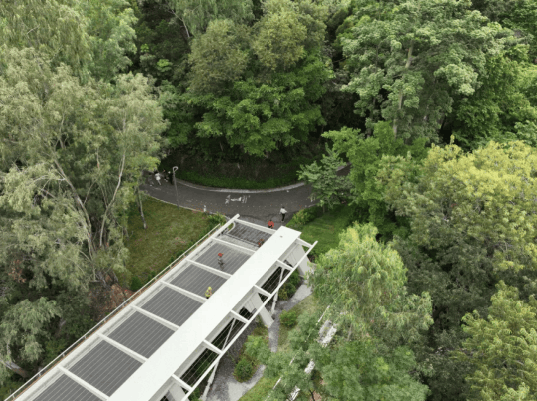 官宣!深圳山海连城又添两“新成员”,八大公园要“串”起来了