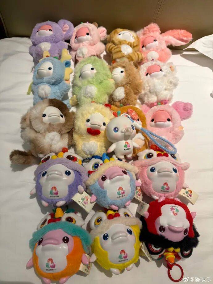 潘展乐晒“一大床大湾鸡”，身穿彩色小衣服萌态十足