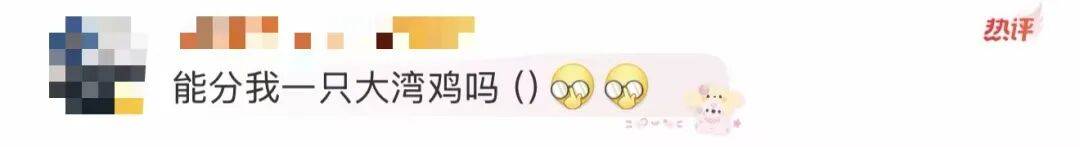 潘展乐晒“一大床大湾鸡”，身穿彩色小衣服萌态十足