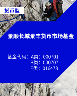 长城货币a(景顺长城货币A)