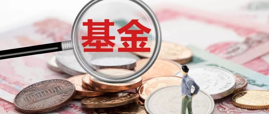 天天货币基金(天天货币基金网排行榜)