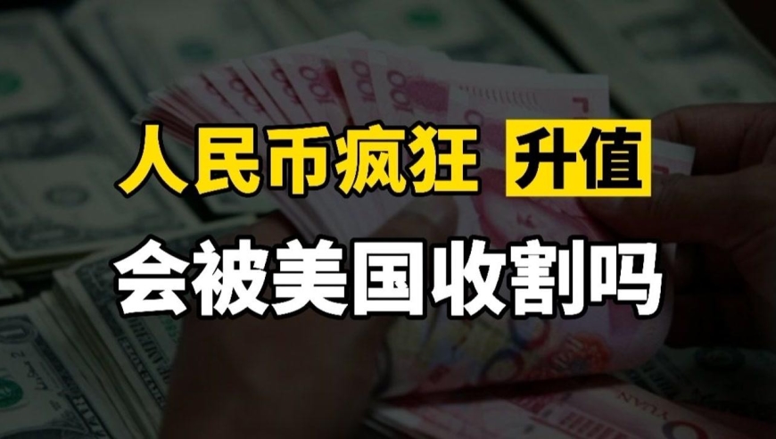 升值货币(货币升值采用什么货币政策)