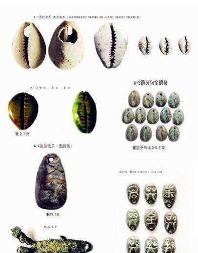 贝壳货币(贝壳钱币是什么朝代的)