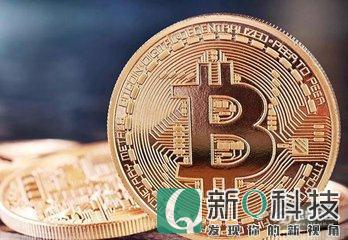货币币种(货币币种怎么填)