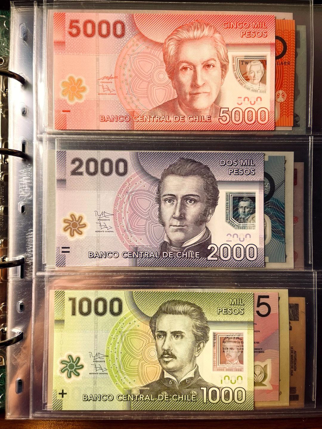 智利货币(智利货币符号)